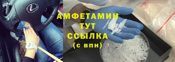 сатива Каменка