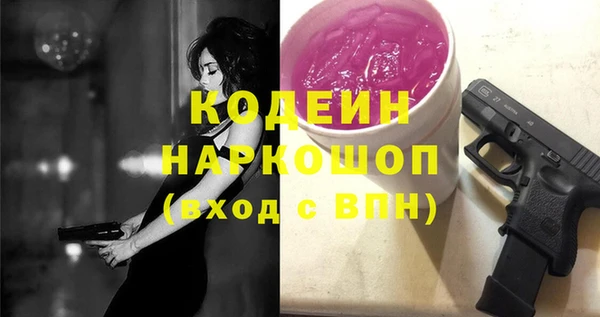 сатива Каменка