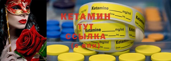 сатива Каменка