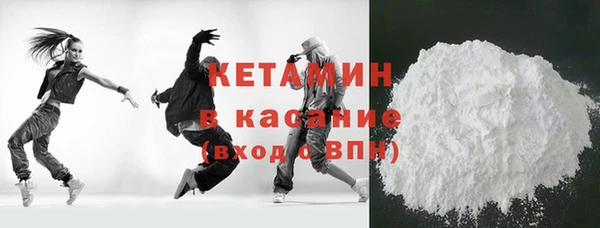 сатива Каменка