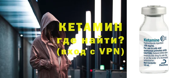 сатива Каменка