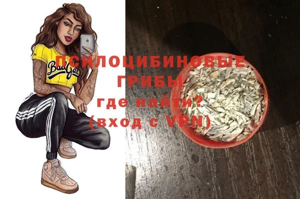 PSILOCYBIN Карпинск