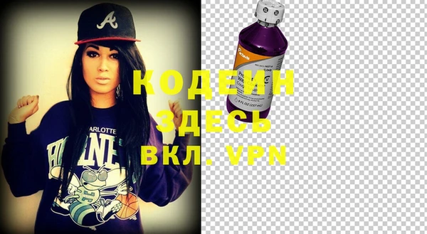 сатива Каменка