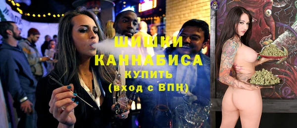 сатива Каменка