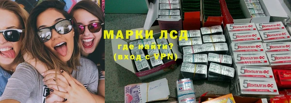 сатива Каменка