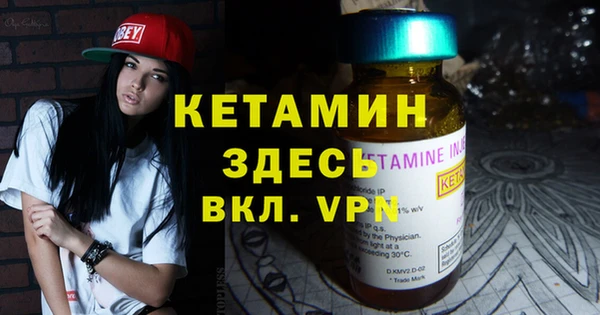 сатива Каменка