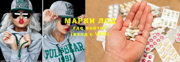 сатива Каменка