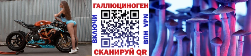 Купить  Салаир  Псилоцибиновые грибы мицелий 
